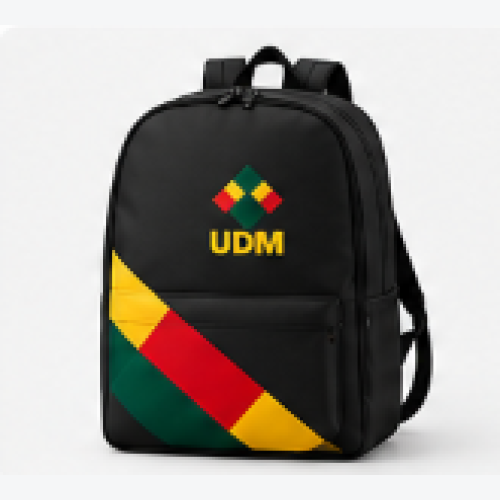 UDM Bag