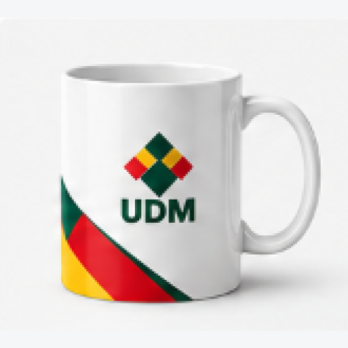 UDM Mug